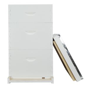 Bee Farm Fir Wood Painted Langstroth Beehive