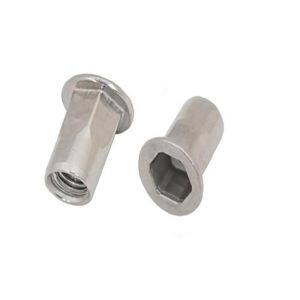 Quality M6 M8 18-8 Stainless Steel 304 316 Plain Semi Hex Flat Head Rivet Nuts for sale