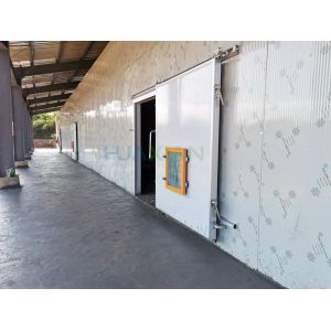 Controlled Atmosphere Cool Storage Room 600 Tons Apple CA Cold Store Room