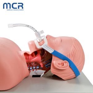 Medical Sterile Adjustable Adult Endotracheal Tracheostomy Tube Holder