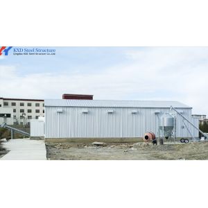 Prefabricated Steel Poultry Shed with Automatic Feeding and Drinking Systems