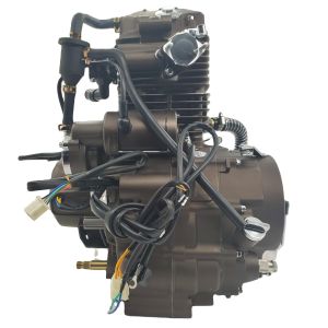 CDI Ignition DAYANG CG300 A-CLASS Motorcycle Cylinder Sea Electric/Kick Start