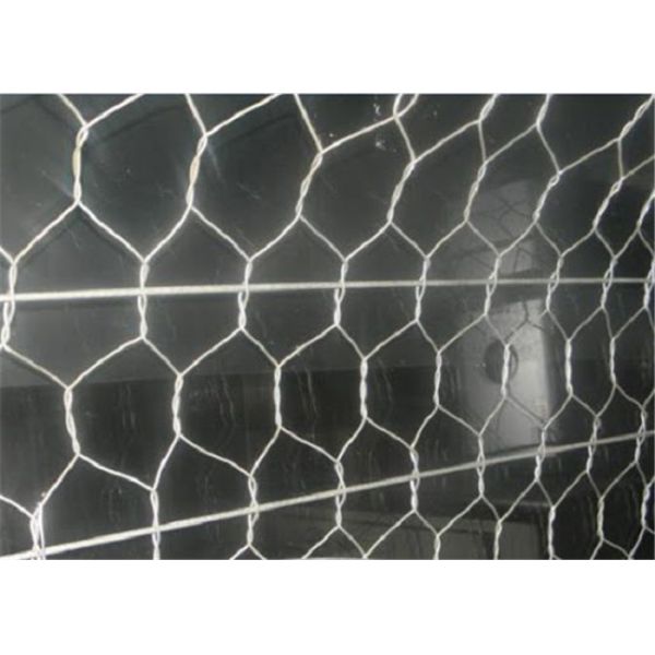 Buy Double Twist River Stone Cage 60*80mm Gabion Basket Fence at wholesale prices