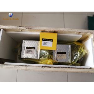 A10VSO100DFR131R-PPA12K27+A10VSO71DFR131R-PPA12N00 Rexroth pump