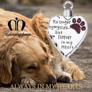 OEM Pet Urn Necklace For Ashes