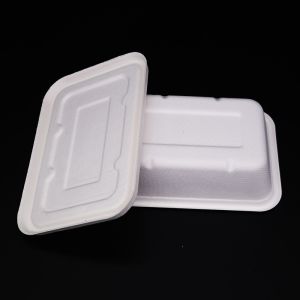 Biodegradable Sugarcane Bagasse Disposable Takeaway Food Tray with Lid