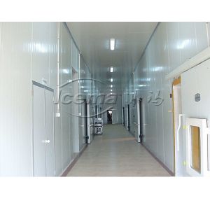 High quality Cold Room by keeping food fresh in industrial