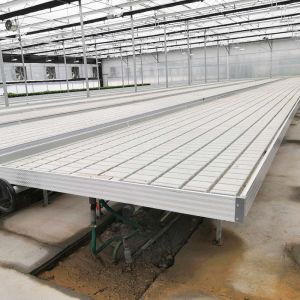 Greenhouse Hydroponic Soilless Culture Ebb Flood Grow Table Seedbed Rolling