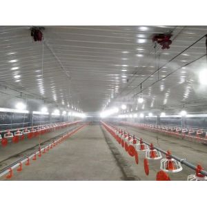 Galvanized Prefabricated Steel Structure Poultry House Chicken House Coop