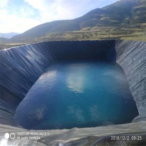 1mm HDPE Geomembrane for Agricultural Circular Tarpaulin Fish Pond Waterproofing