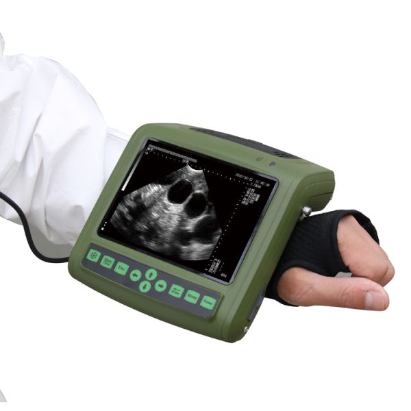 B Mode Ultrasonic Medical Diagnostic Instruments MSU1 PLUS Portable Veterinary Ultrasound
