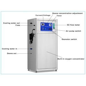 SS304 RAS Aquaculture Water Treatment Fish Farm Ozone Generator 20g