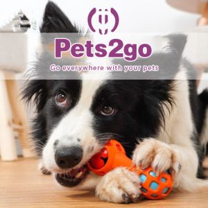 Bite Resistant 128X51mm Tough Chew Toys For Big Dogs