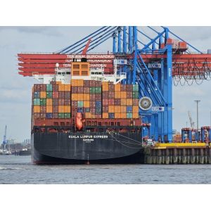 Fatest Safe Sea Freight Services International Ocean Shipping Full Container