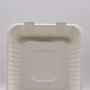 biodegradable disposable sugarcane bagasse takeaway food container packaging 3