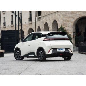 Yellow Byd Seagull Hatchback Vehicle Automobile Pure Electric 5 Seat