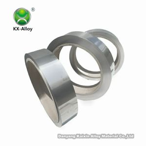 Corrosion Resistance ASTM Incoloy Alloy Inconel 800 Strip Customized