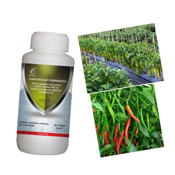 Buy Agriculture Bio Pesticide Cotton Bollworm Control Unioasis HaNPV Bacillus Thuringiensis at wholesale prices