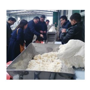 Stainless Steel Fresh Noodle Making Machine Modular Design Integral Structure