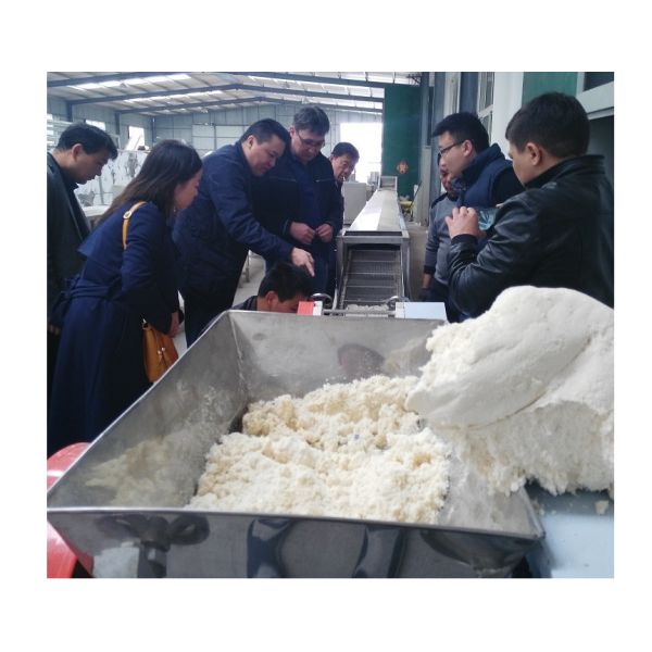 Stainless Steel Fresh Noodle Making Machine Modular Design Integral Structure
