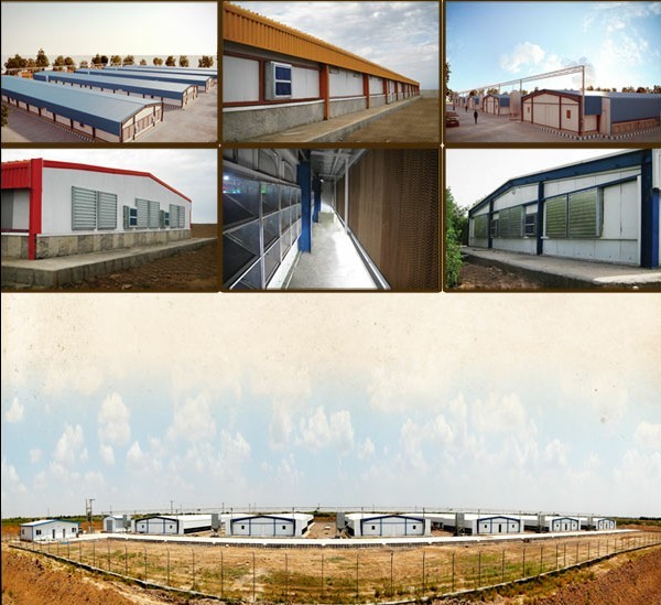 Buy Poultry Equipment - Fans, Inlets, Cooling, Controls - NorthHusbandry Machinery at wholesale prices