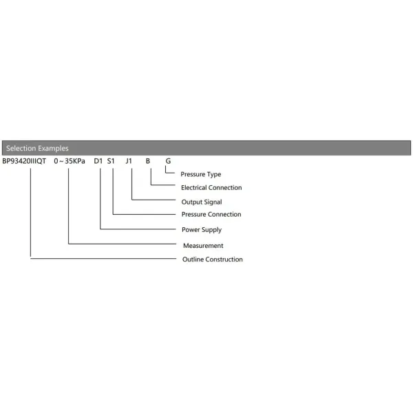 BPHT24-III Hengtong Digital Output 2088 Pressure Transmitter for Food Industry Smart Pressure Sensor