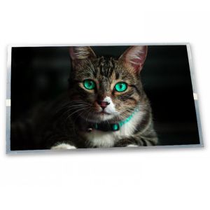 Quality High Resolution 6.2-Inch stock Compatible WLED LCD Display Module 640*240 ODM TX16D11VM2CAC Modules for sale