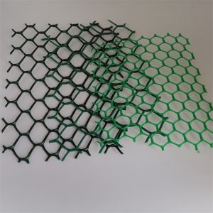 Roadbed and Tunnel Engineering Green HDPE Geonet with Anti-Ultraviolet