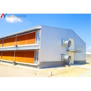 Galvanized Steel Poultry Shed for Large-Scale Chicken Farming