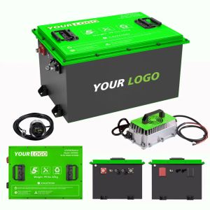 LiFePO4 EV Lithium Battery Pack For AGV 24V 48V 60V 72V 80V With Smart BMS OEM