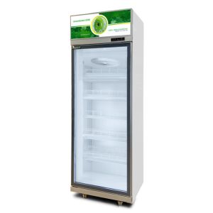 Customization Low E Glass Upright Commercial Beverage Cooler Rapid Cooling