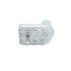 42BLY205AG389 Dc Worm Gear Motor 15N.M 390:1 Reduction Ratio 12v 11rpm