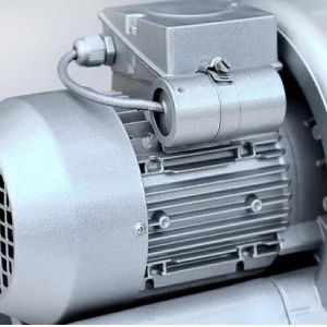 0.5HP Single Phase Air Ring Blower For Fish Pond Custmized Motor Data Design