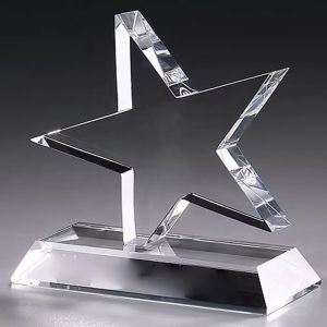 6'' H Clear Star Shape Acrylic Trophy With Base , Acrylic Star Award Custom Logo