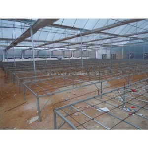 No Roof Vent Agricultural Greenhouse Vegetable Growing Single Span Greenhouse