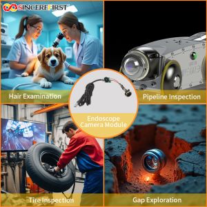 12MP High-Performance CMOS Sensor Led Endoscope Camera Module