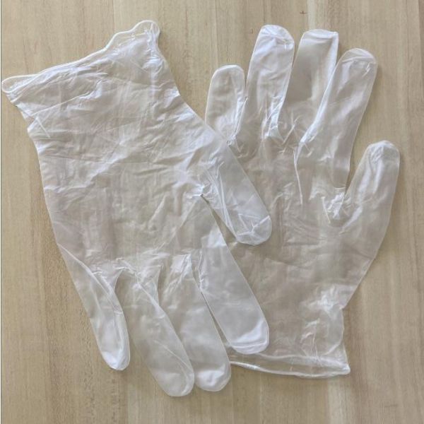 Food Service Gloves Disposable Vinyl Glove Pvc Material 9 Inches Length