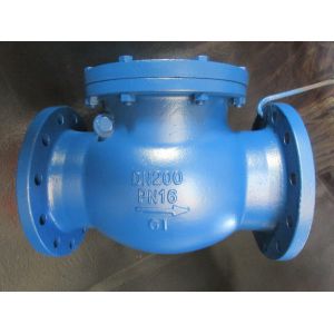 din   SWING CHECK VALVE