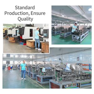 Packing Cartoning Machine Automatic Cartoner For Packaging Sachet Antigen