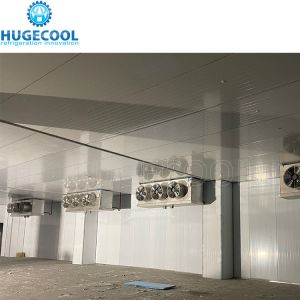 Seafood Processing Cold Room with 200 Kw Cooling Capacity and 150mm PU Panel