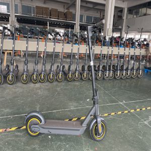 10 Inch Pneumatic Tire Foldable Electric Scooter For Adults