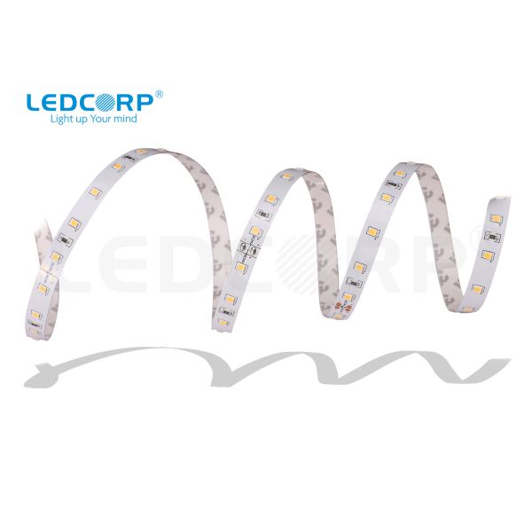 High Efficacy LED Strip 8w/m1600lm/m New Available in IP20 IP44 IP54 IP62 IP65 IP66 IP67 IP68