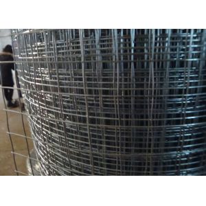 Easily Assembled Welded Wire Mesh Panels Square Hole For Greenhouse Bed Nets