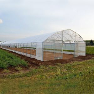 Tomato Poly Greenhouse Agricultural Tunnel Plastic Greenhouse For Drip