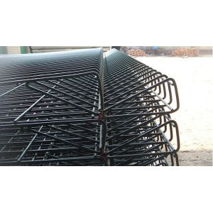 Good Quality Hot Dipped Galvanized Park BRC Fence