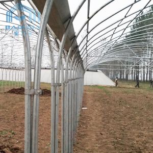 Top Ventilation Multi Span Plastic Tunnel Greenhouse Rustproof