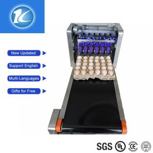 Automatic Egg Date Stamp Machine With Six Ink Can Print 1.2 Million Eggs