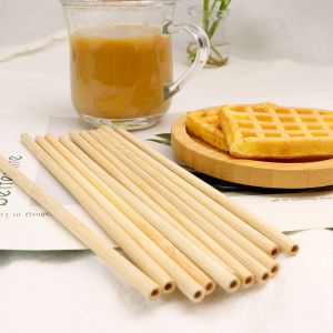 8cm Reusable Eco Friendly Straws Travel Juice Coffee Cocktail Straws
