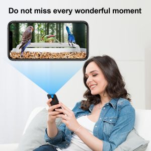 Wild bird feeder AI recognition smart bird feeders with solar panel