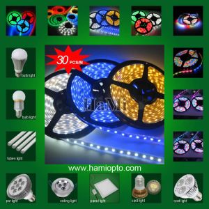 Flexible strip light 30leds/m